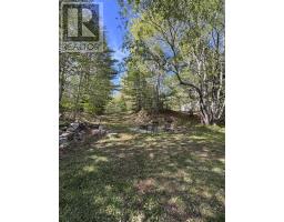 13862 Highway 3, Dayspring, NS B4V5P5 Photo 27