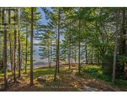 1791 Rackety Trail Road, Minden Hills, ON K0M2K0 Photo 31