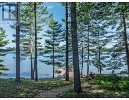 1791 Rackety Trail Road, Minden Hills, ON K0M2K0 Photo 44