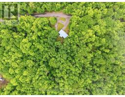 1354 Clear Lake Road, Minden Hills, ON K0M2L1 Photo 36