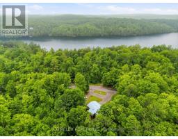 1354 Clear Lake Road, Minden Hills, ON K0M2L1 Photo 37