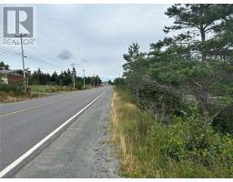130 Conception Bay Highway thumbnail 5