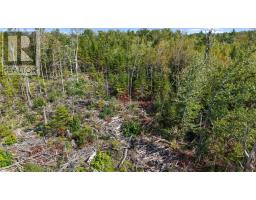 772 Hartford Road, Hartford, NS B0K1M0 Photo 14