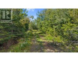 772 Hartford Road, Hartford, NS B0K1M0 Photo 12