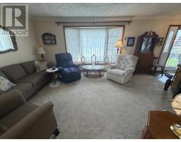 22 Birch Rd, Elliot Lake, ON P5A2E2 Photo 14
