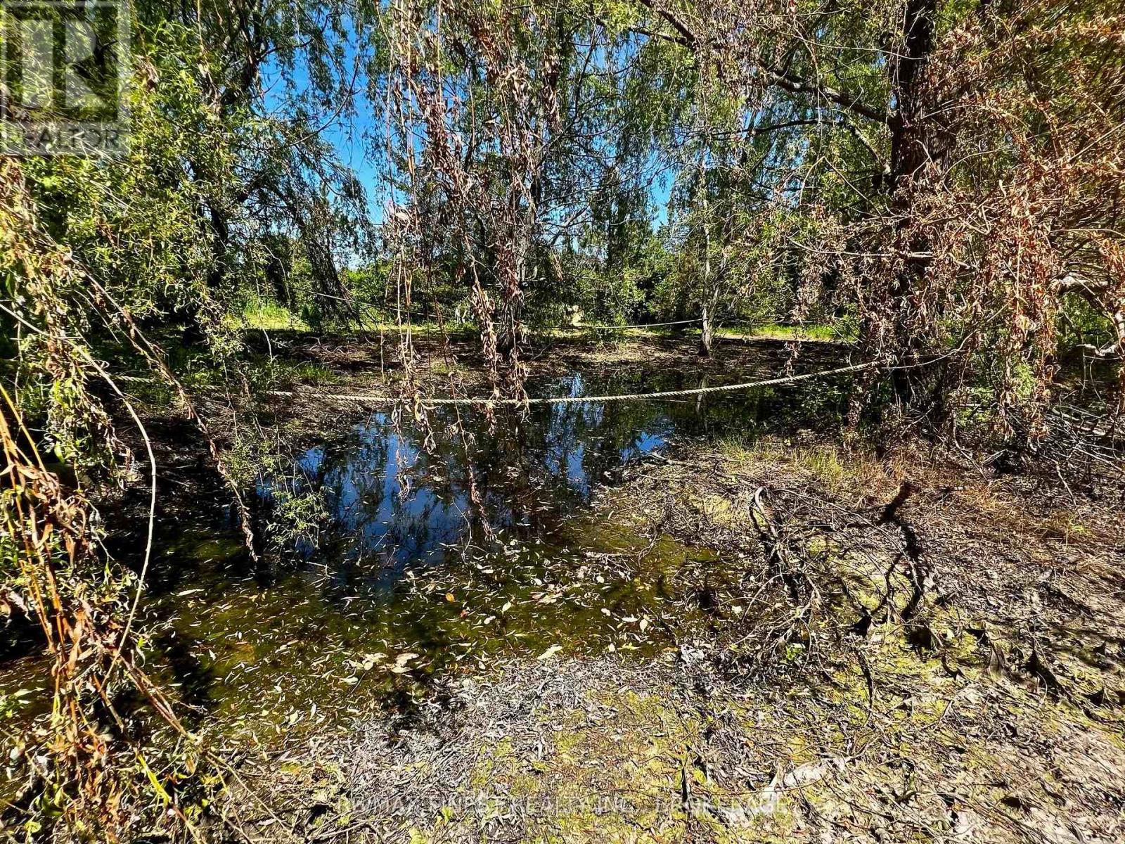 Lot 20 South Shore Road, Greater Napanee (Greater Napanee), Ontario, K7R3K7, Greater Napanee (Greater Napanee), Ontario — photo 5 of 5