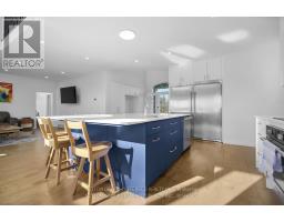 Pantry - 32439 Walnut Line, Dutton/dunwich, ON N0L1J0 Photo 12