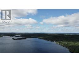 Lot 10 Nine Island Pond Local Road thumbnail 4