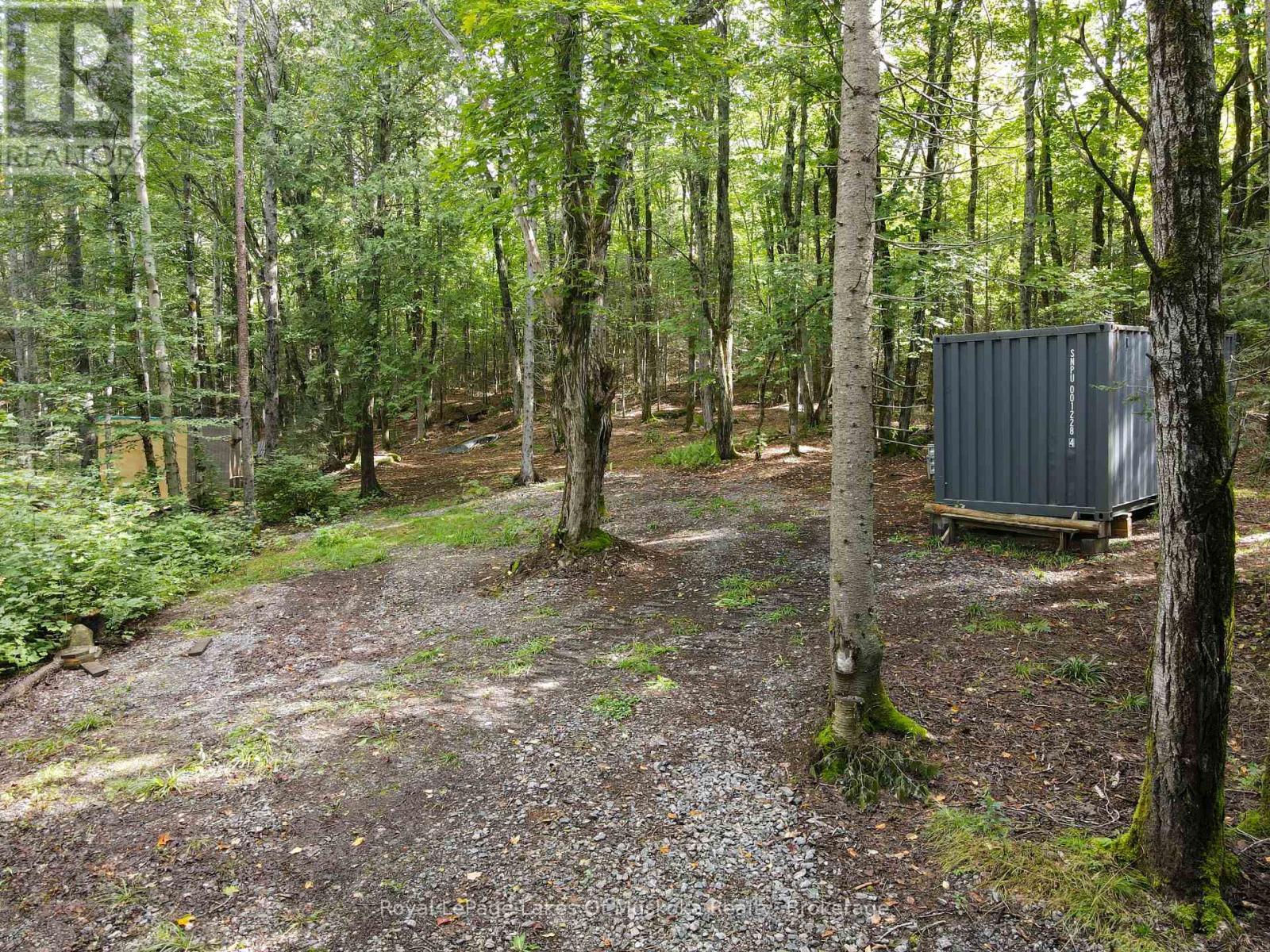 - BOUNDARY ROAD - Image 4