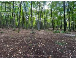 - Boundary Road, Parry Sound Remote Area, ON P0A1X0 Photo 10