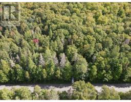 - Boundary Road, Parry Sound Remote Area, ON P0A1X0 Photo 11