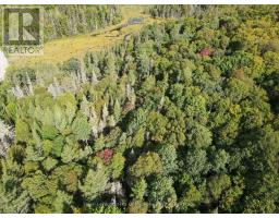 - Boundary Road, Parry Sound Remote Area, ON P0A1X0 Photo 12