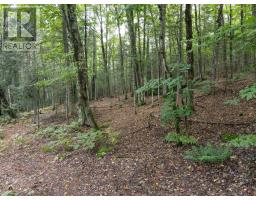 - Boundary Road, Parry Sound Remote Area, ON P0A1X0 Photo 14
