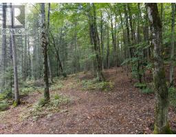 - Boundary Road, Parry Sound Remote Area, ON P0A1X0 Photo 15