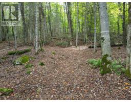 - Boundary Road, Parry Sound Remote Area, ON P0A1X0 Photo 17