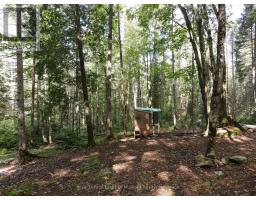 - Boundary Road, Parry Sound Remote Area, ON P0A1X0 Photo 19