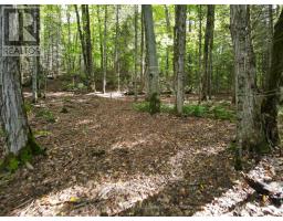 - Boundary Road, Parry Sound Remote Area, ON P0A1X0 Photo 20