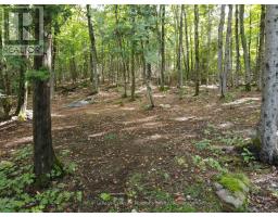 - Boundary Road, Parry Sound Remote Area, ON P0A1X0 Photo 21