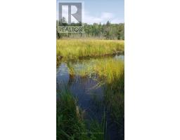 - Boundary Road, Parry Sound Remote Area, ON P0A1X0 Photo 27