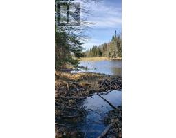 - Boundary Road, Parry Sound Remote Area, ON P0A1X0 Photo 29