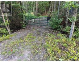 - Boundary Road, Parry Sound Remote Area, ON P0A1X0 Photo 7