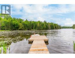 1003 Pontiac Drive, Minden Hills, ON K0M2K0 Photo 41