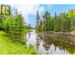 1003 Pontiac Drive, Minden Hills, ON K0M2K0 Photo 42