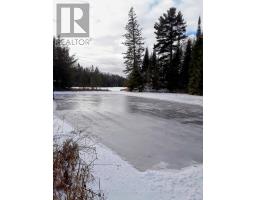1003 Pontiac Drive, Minden Hills, ON K0M2K0 Photo 46