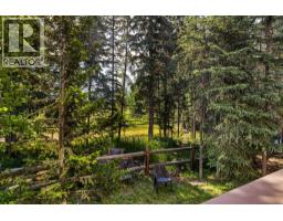 202, 108 Armstrong Place, Canmore, AB T1W3L2 Photo 22
