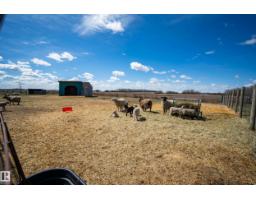 55506 Rge Road 254, Rural Sturgeon County, AB T8R0S2 Photo 54