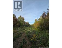 Lot Donnelly Settlement Road, Prince William, NB E6K3N3 Photo 12