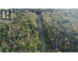 Lot Donnelly Settlement Road, Prince William, NB E6K3N3 Photo 11