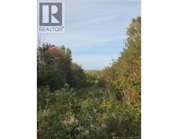 Lot Donnelly Settlement Road, Prince William, NB E6K3N3 Photo 13