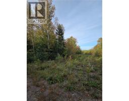 Lot Donnelly Settlement Road, Prince William, NB E6K3N3 Photo 15