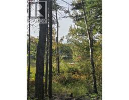 Lot Hazen Lane, Lake George, NB E6K2N9 Photo 14
