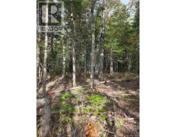 Lot Hazen Lane, Lake George, NB E6K2N9 Photo 15