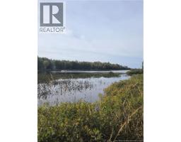 Lot Hazen Lane, Lake George, NB E6K2N9 Photo 16