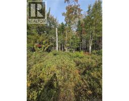 Lot Hazen Lane, Lake George, NB E6K2N9 Photo 17