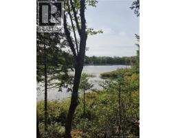 Lot Hazen Lane, Lake George, NB E6K2N9 Photo 18