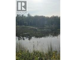 Lot Hazen Lane, Lake George, NB E6K2N9 Photo 19