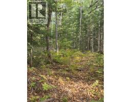 Lot Hazen Lane, Lake George, NB E6K2N9 Photo 20