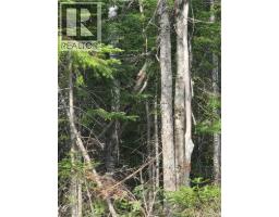 Lot Hazen Lane, Lake George, NB E6K2N9 Photo 21