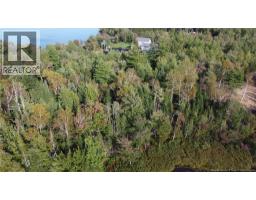 Lot Hazen Lane, Lake George, NB E6K2N9 Photo 6