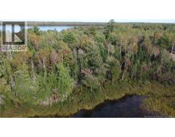 Lot Hazen Lane, Lake George, NB E6K2N9 Photo 7