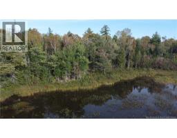 Lot Hazen Lane, Lake George, NB E6K2N9 Photo 8