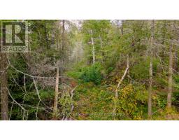 2275 Widdifield Station Road, North Bay, ON P1B8G2 Photo 6