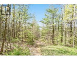 4 Mills Circle, Springwater, ON L9X0J7 Photo 43