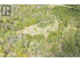 4 Mills Circle, Springwater, ON L9X0J7 Photo 47