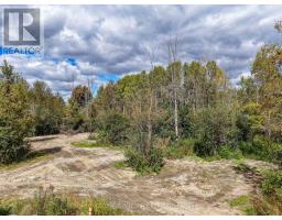 6841 Snake Island Road, Ottawa, ON K4P1N2 Photo 22