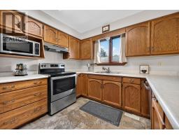 Recreational, Games room - 174 Metcalfe Street, Ingersoll, ON N5C1M9 Photo 11